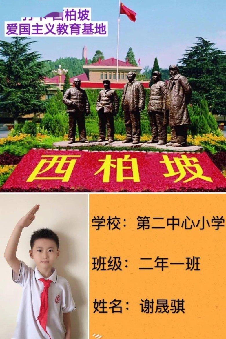 猫猫冒险团